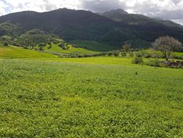 VENTA PARCELA CON CASA. ZAHARA DE LA SIERRA photo 0