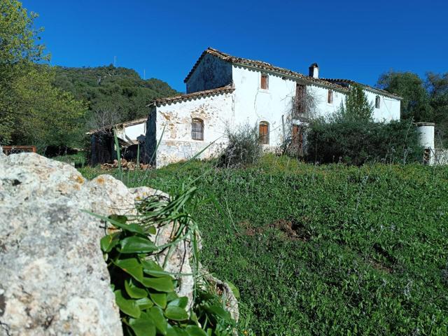 VENTA FINCA RÚSTICA EN LOS ALREDEDORES DE UBRIQUE photo 0