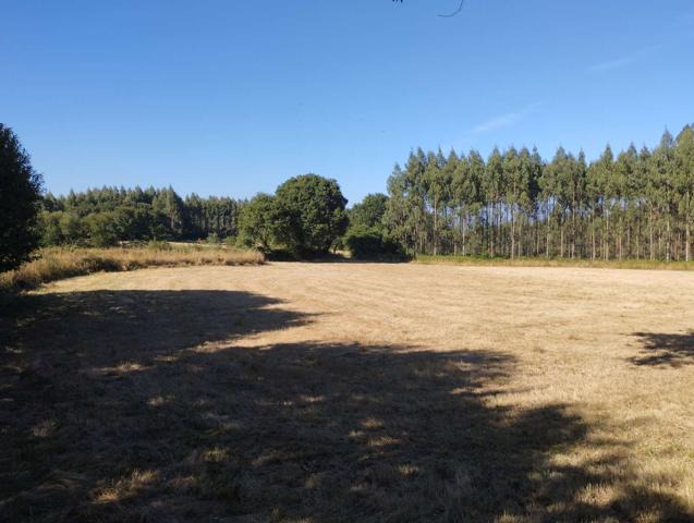 Terreno Urbanizable En venta en Begonte photo 0