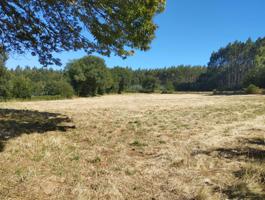 Terreno Urbanizable En venta en Begonte photo 0