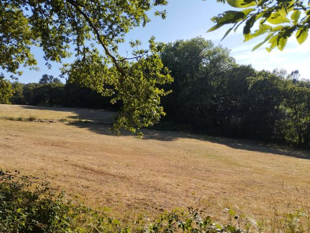 Terreno Urbanizable En venta en Begonte photo 0