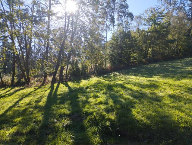 Casa En venta en Lg Corbeira. 15560, San Sadurniño (la Coruña), San Sadurniño photo 0