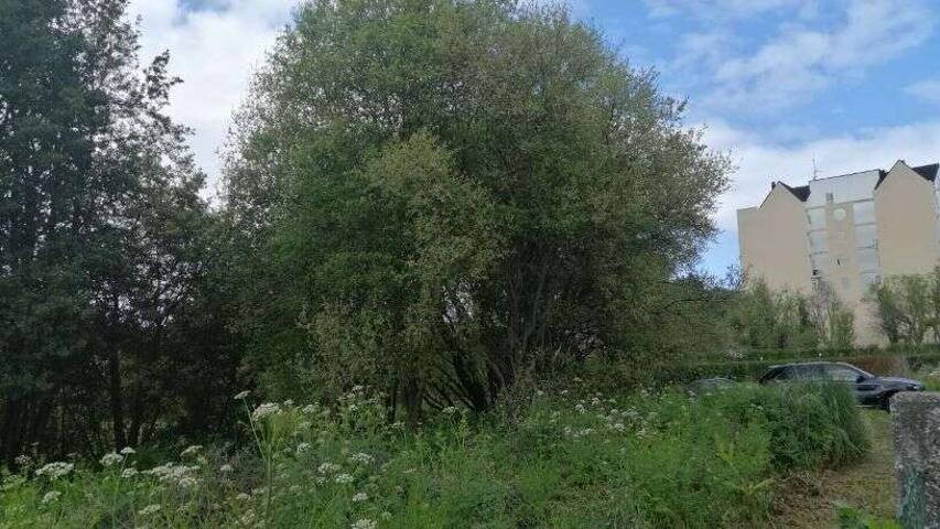 TERRENO EN VILABOA photo 0