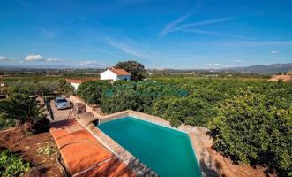 FINCA DE NARANJOS Y OLIVOS CON CASA EN NÁQUERA photo 0