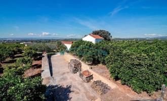 FINCA DE NARANJOS Y OLIVOS CON CASA EN NÁQUERA photo 0