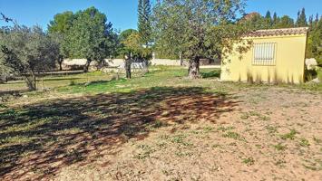 TERRENO RUSTICO CON CASA photo 0