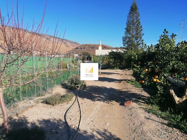 Cortijo con terreno photo 0
