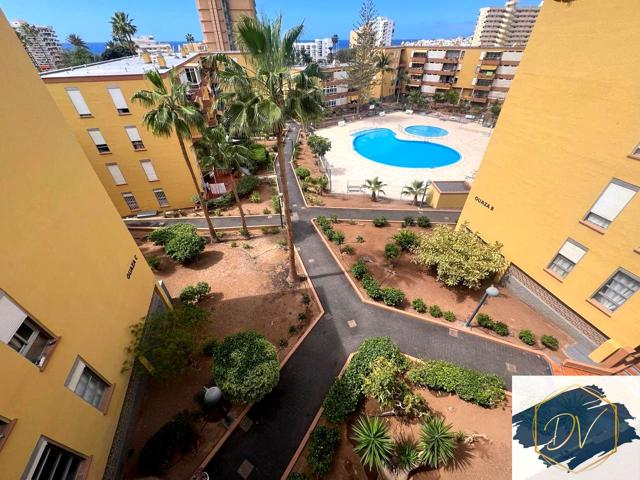 Calle Berna, Arona, Los Cristianos photo 0