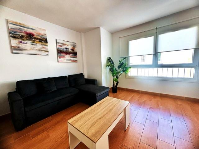 Piso Calle Villa de la Orotava, El Medano, Granadilla. photo 0