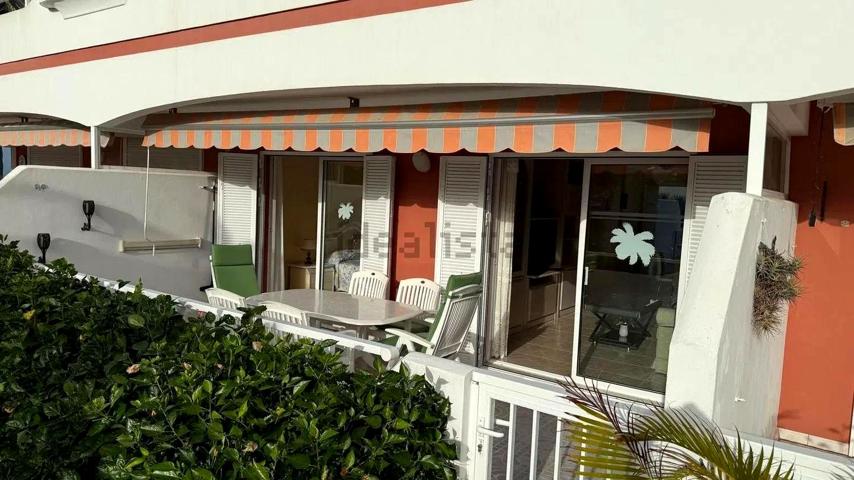 Calle Doctor Celestino González Padrón, Puerto de la Cruz photo 0