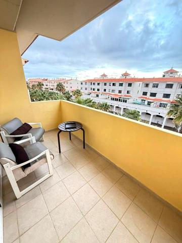 Luchador Alfredo Martin, Güímar, Santa Cruz de Tenerife photo 0