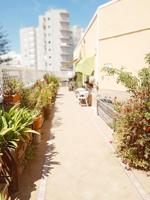 BAHÍA BLANCA - CÁDIZ - ¡ ÁTICO CON VISTAS A LA BAHÍA ! photo 0