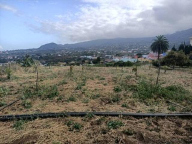 Terreno en venta en Bajamar (Breña Alta) photo 0