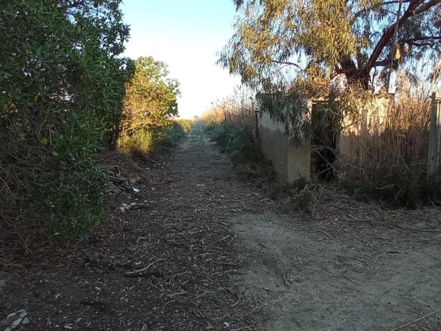 Finca Rustica en Ptda. el Molar San Fulgencio photo 0