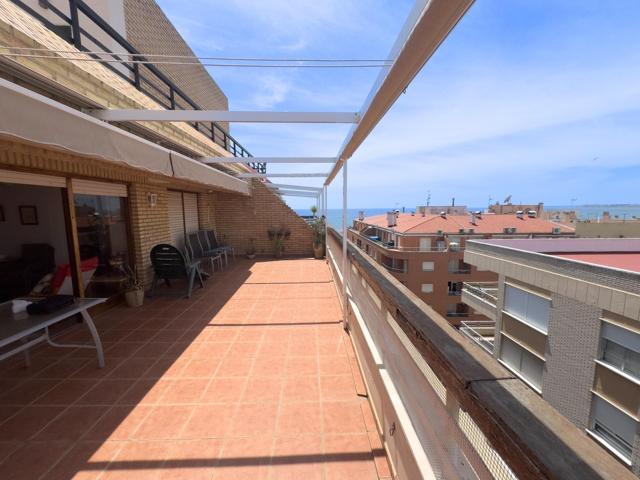 Ático en Torrevieja photo 0