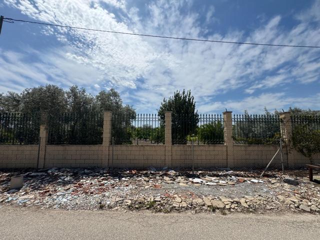 Amplia Casa de Huerta en Callosa de Segura con Terreno y Posibilidades photo 0