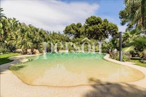 Un oasis para los sentidos en Santa Barbara photo 0