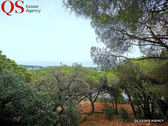 Terreno con vistas al mar en urbanización Puig Romaní, Castell D'Aro photo 0