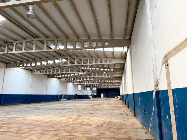 MAGNIFICA NAVE DIAFANA REFORMADA Y CAMBIADA TOTALMENTE LA CUBIERTA photo 0