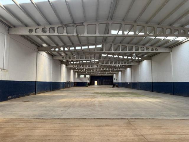 MAGNIFICA NAVE DIAFANA REFORMADA Y CAMBIADA TOTALMENTE LA CUBIERTA photo 0