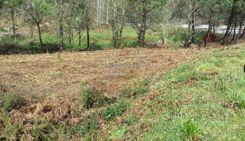 Solar edificable en Sanguiñeda!! photo 0