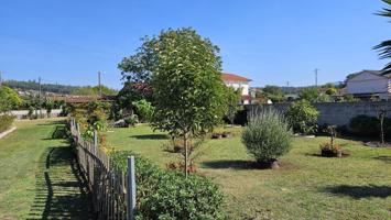 Terreno Edificable en Guillarey, Tui, con galpón photo 0