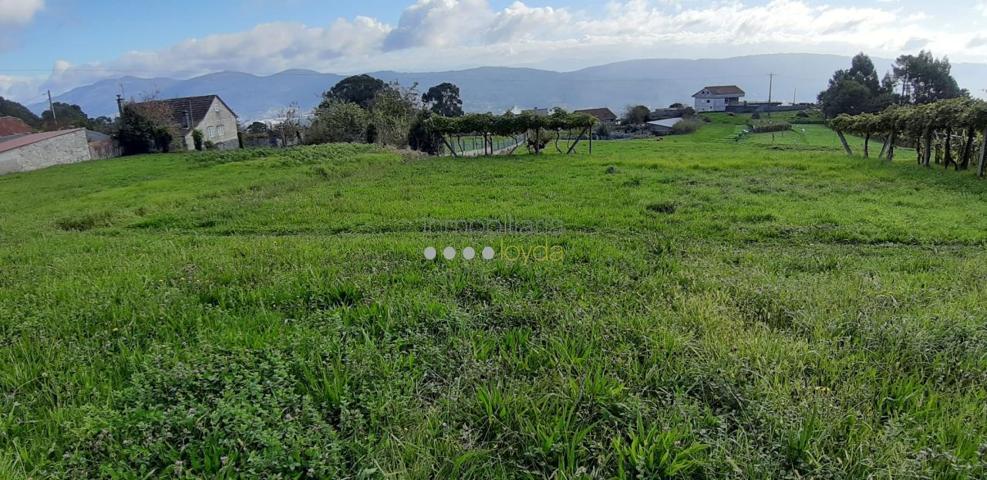 Terreno en Pereiras, Mos. No edificable photo 0