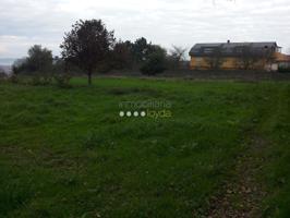 Terreno de 1.250 m2 en Mos, Cabral photo 0