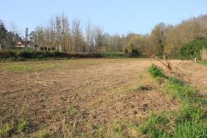 TERRENO LLANO AMPLIO MUY SOLEADO photo 0