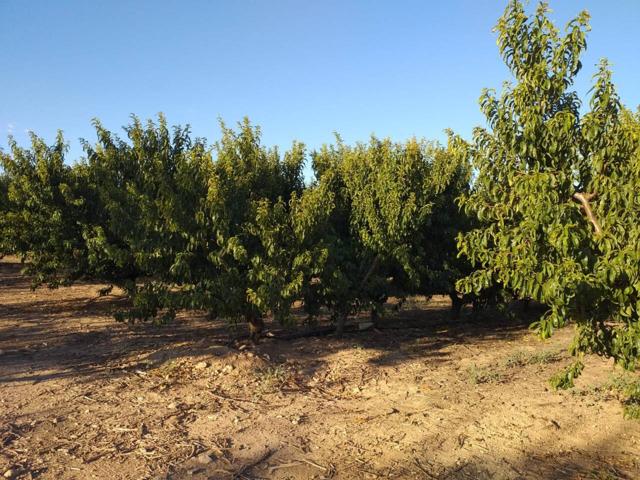 FINCA RUSTICA EN VENTA photo 0