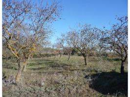 Finca rustica en venta en Pozán de Vero photo 0