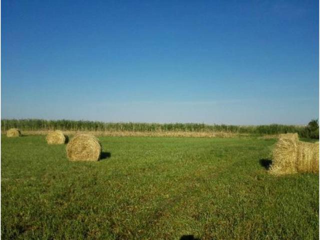 Finca rustica en venta en Capdesaso photo 0