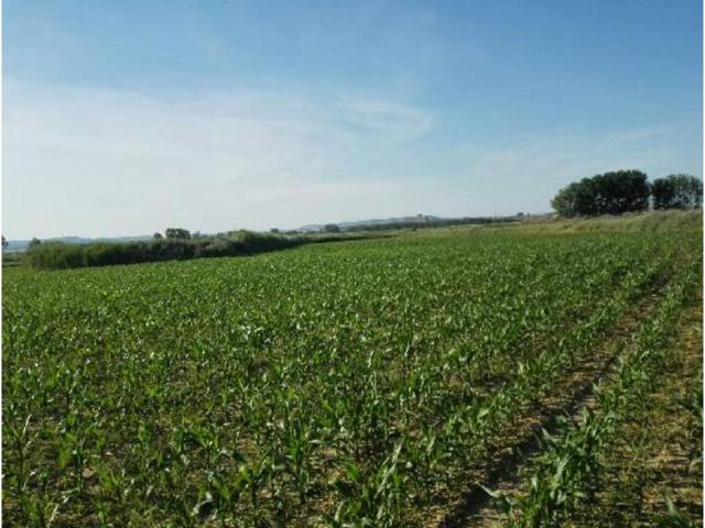 Finca rustica de regadío en venta en Capdesaso photo 0