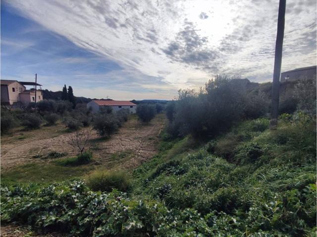 VENTA DE GRAN SOLAR EN AZLOR - BARBASTRO photo 0