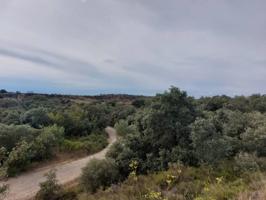FINCA RUSTICA DE MONTE BAJO DE VENTA EN BARBASTRO photo 0