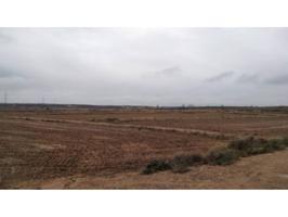 Finca Rústica de Regadío en Alcolea de Cinca photo 0