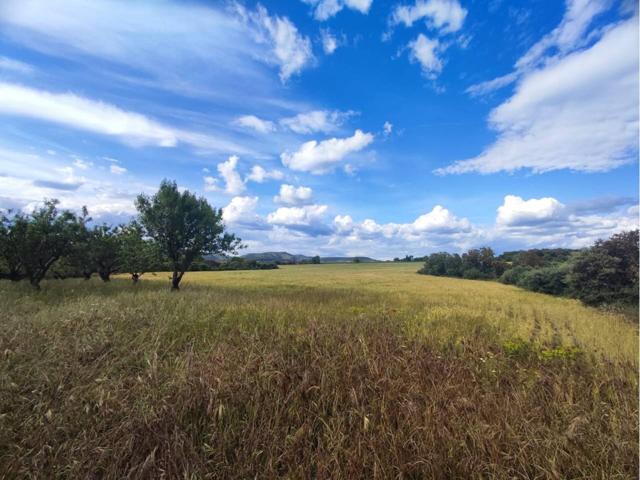 VENTA DE FINCA RUSTICA EN SALAS ALTAS photo 0