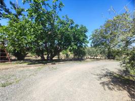 Venta de finca en Zaidín – Ideal para vivienda y explotación agrícola photo 0
