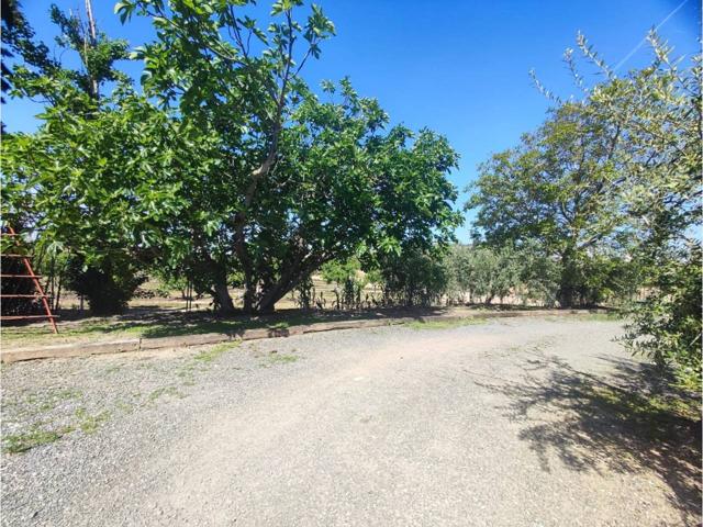 Venta de finca urbanizada en Zaidín – Ideal para vivienda y explotación agrícola photo 0