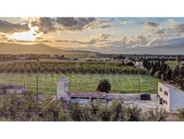 Granja En alquiler en Llubí photo 0