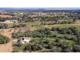 Terrenos Edificables En venta en Sencelles photo 0