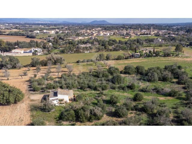 Terrenos Edificables En venta en Sencelles photo 0