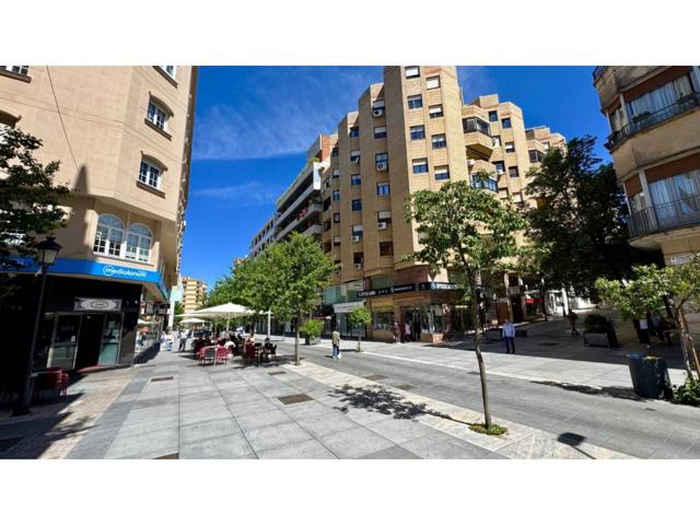 Piso en alquiler en Centro(10001) photo 0