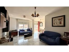 Pisazo en Hernán Cortés photo 0