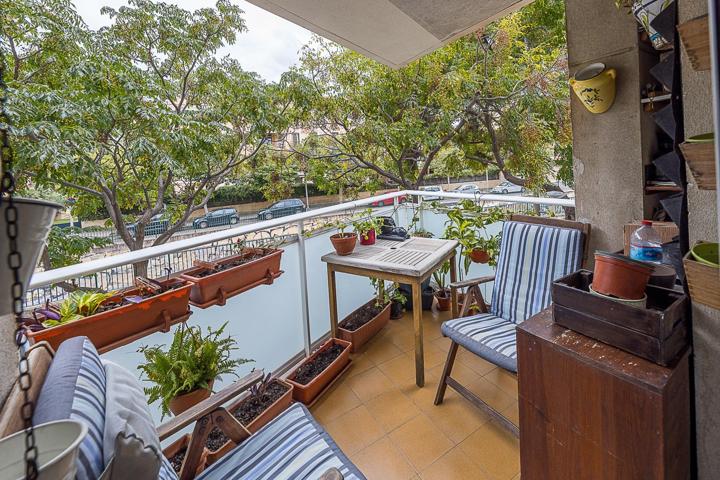 VENTA PISO EN PORTIXOL photo 0