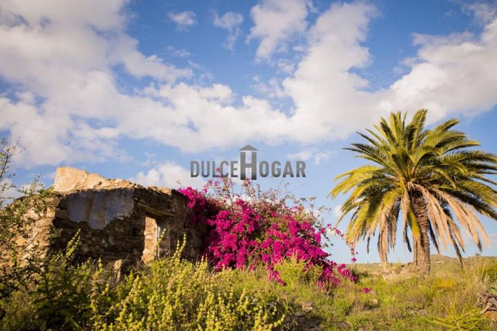 ¡BAJADA DE PRECIO! ¡¡MAGNÍFICA FINCA RÚSTICA DE 45.408 METROS EN PLENA NATURALEZA A 4 KILÓMETROS DE LA LOCALIDAD DE RINCÓN Y DE LA PLAYA!! photo 0