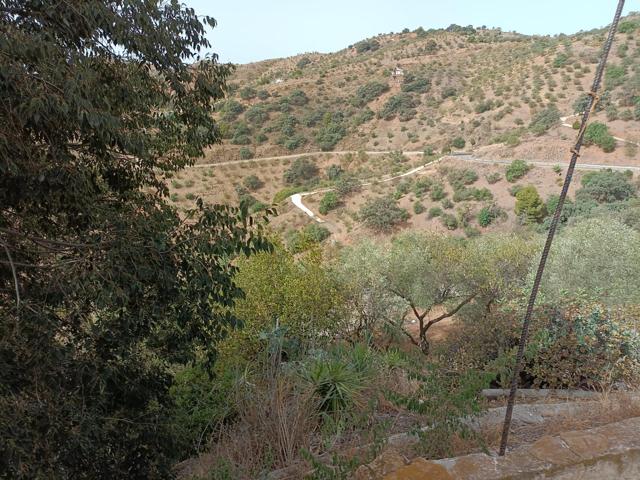 ESTUPENDA PARCELA CON VISTAS ESPECTACULARES  Y CASA DE CAMPO EN OLIAS MÁLAGA. photo 0