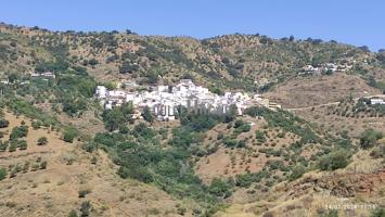PARCELA EN PARAJE LOS BALTASARES (TOTALÁN) photo 0