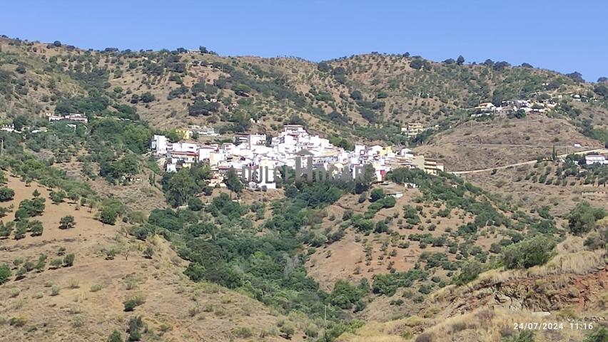PARCELA EN PARAJE LOS BALTASARES (TOTALÁN) photo 0