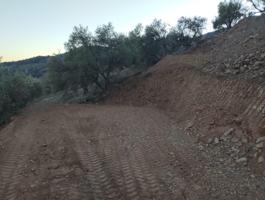 PARCELA RUSTICA 1101 MT CON SUPERFICIE PLANA CAMINO ASFALTADO photo 0